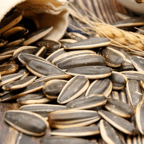 事關春節(jié) 兩當人速看