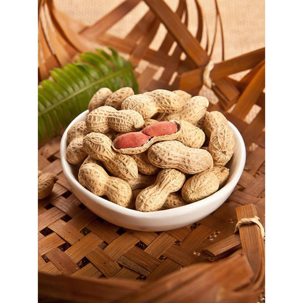 雋顏堂童年記五香瓜子 500g大包裝，帶你重溫湖南風味