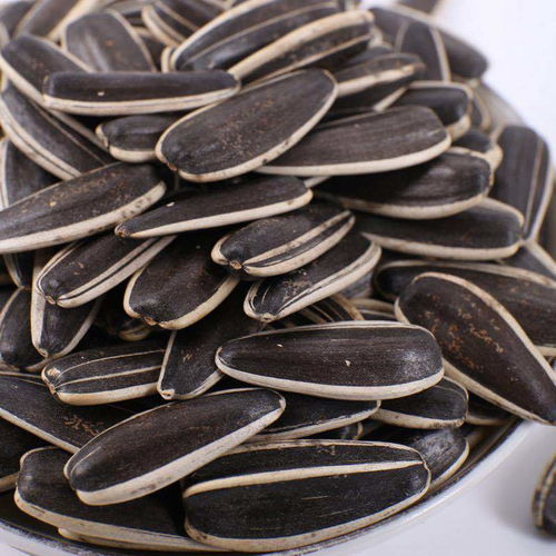 生瓜子與葵花籽 五香、焦糖、原味的多樣風(fēng)味選擇